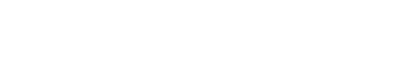 Team Introduction
